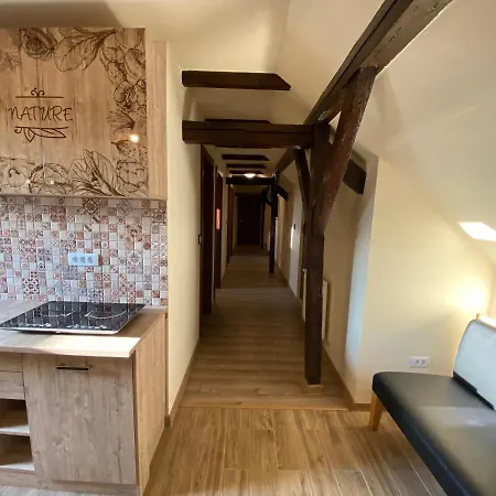 Gazde/Camere de închiriat House *