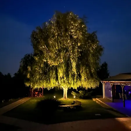House Homestay *